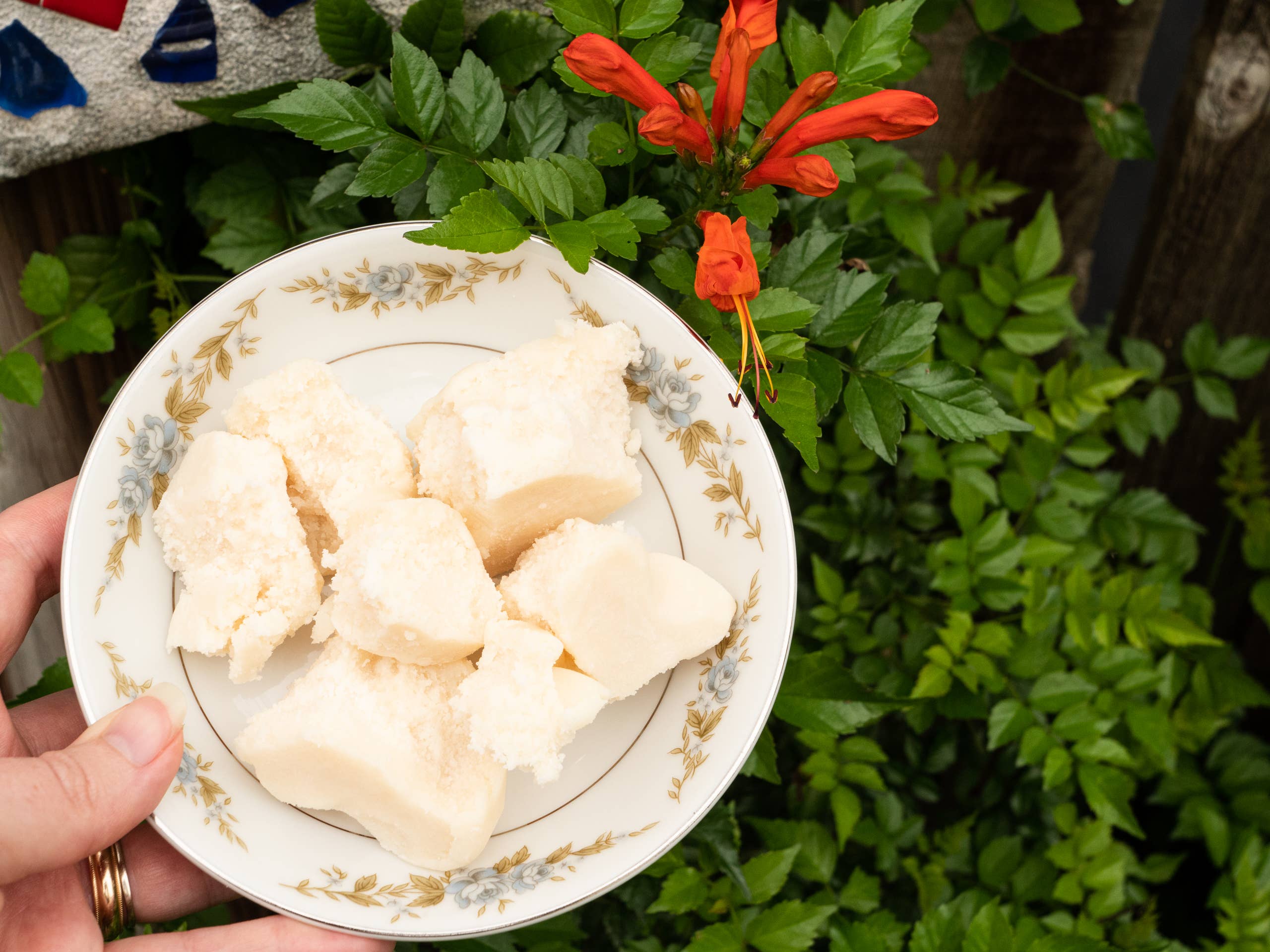 Better Shea Butter - Wholesale Body Balm/Butter - Kokum Butter Bulk (10 lb) 6