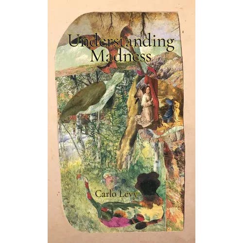 Books by splitShops - Wholesale Poetry & Drama - Understanding Madness - Paperback