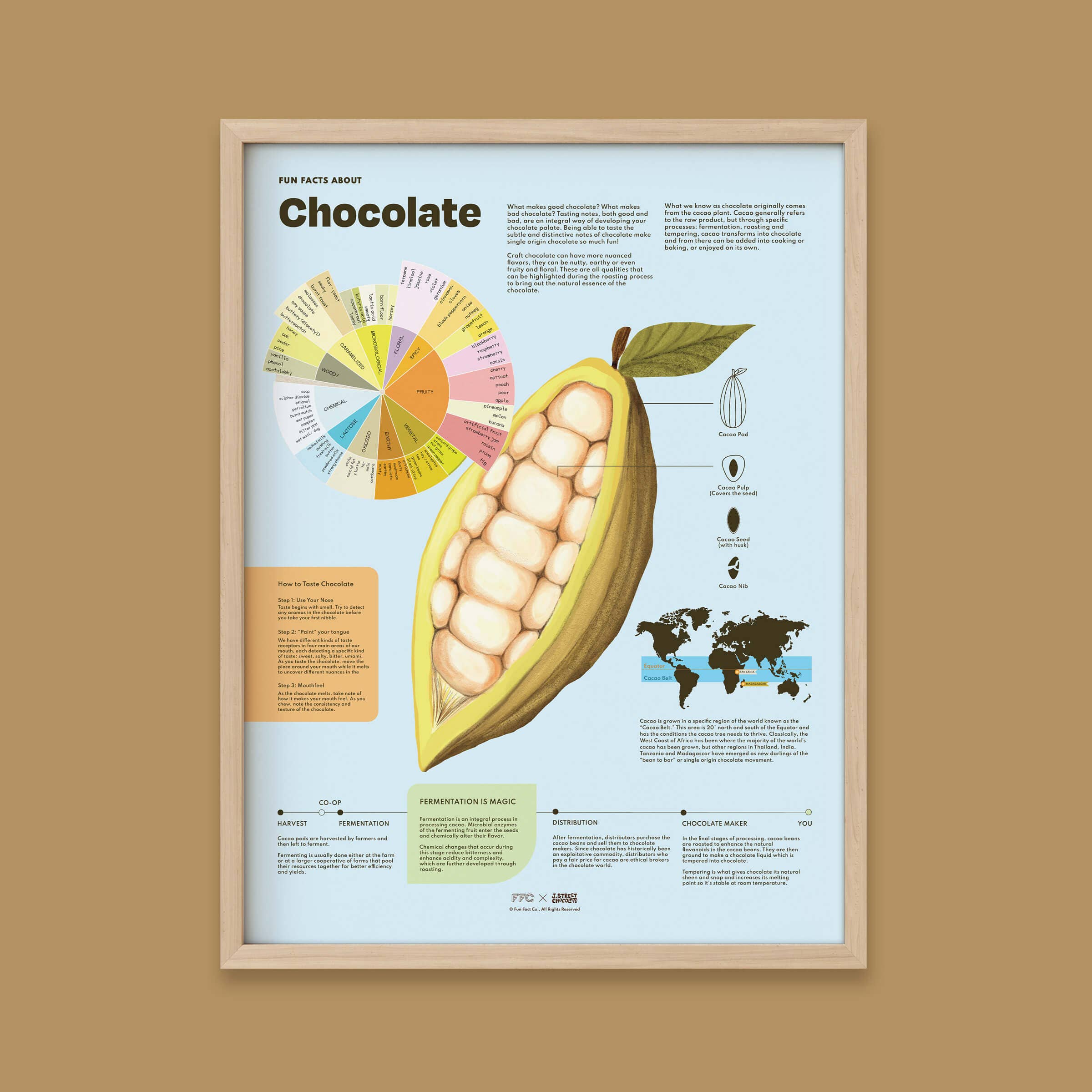 Fun Fact Co. - Wholesale Art Print - Chocolate Fun Facts Print4