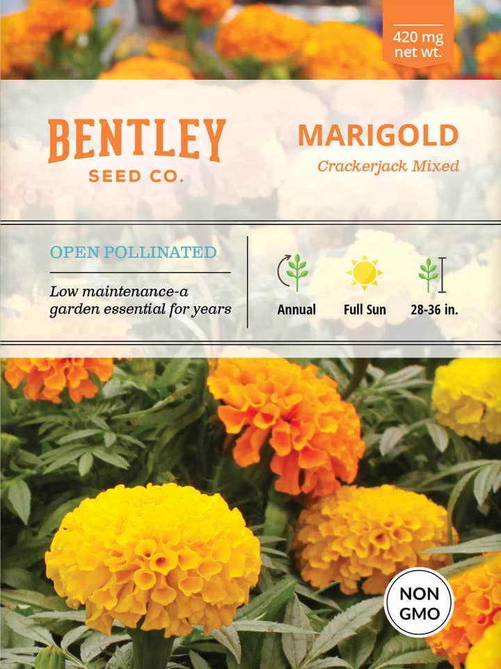 Marigold, Crackerjack Mixed Colors Seed Packets for wholesale by Bentley Seed Co.