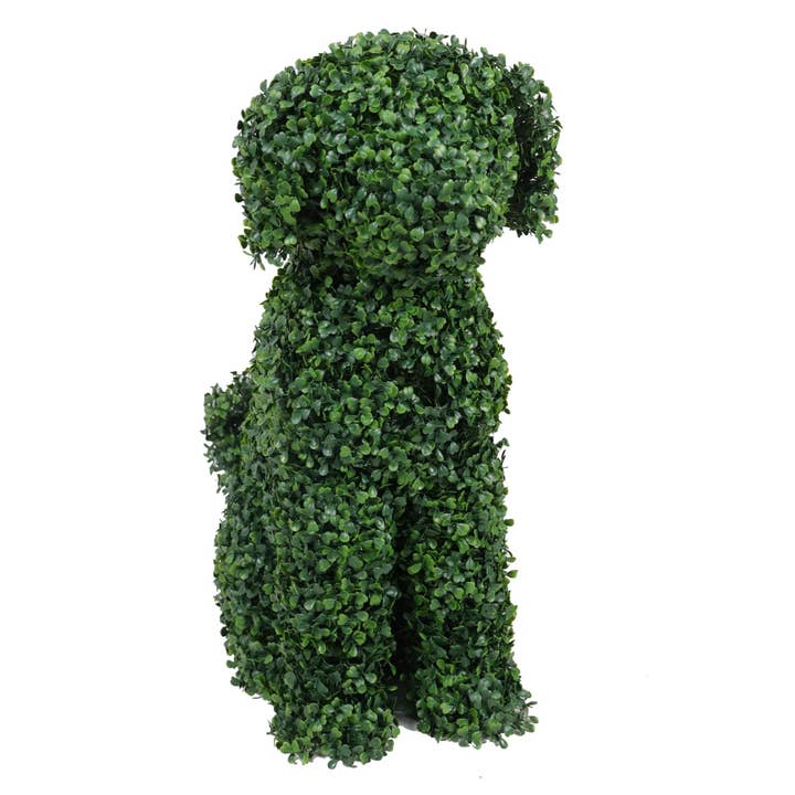 Designer Plants - Wholesale Outdoor ornament/decor - Topiary Boxwood Dog (Medium) - Indoor and Outdoor Suitable