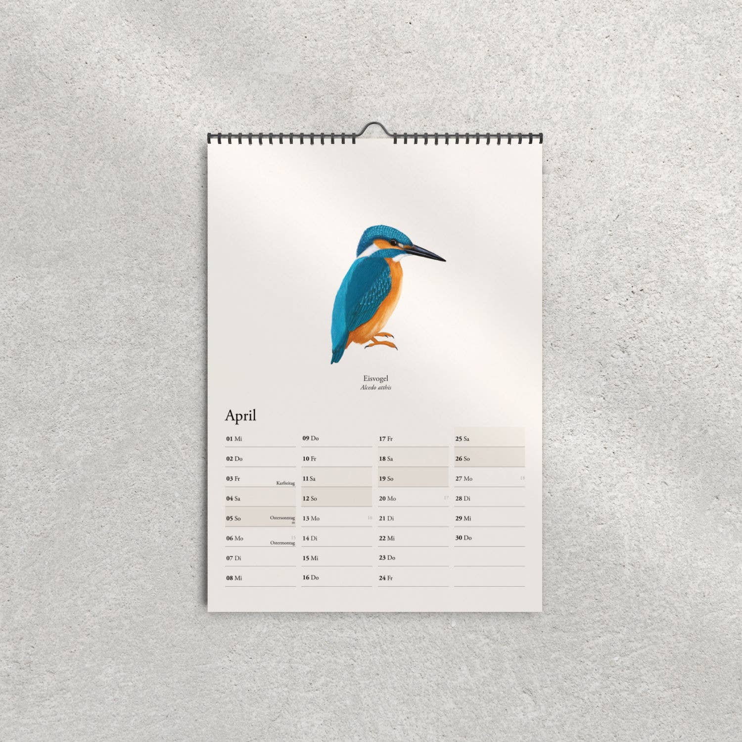 Terillu - Wholesale Calendar - Wall calendar 2026, calendar of native birds in A3 format4