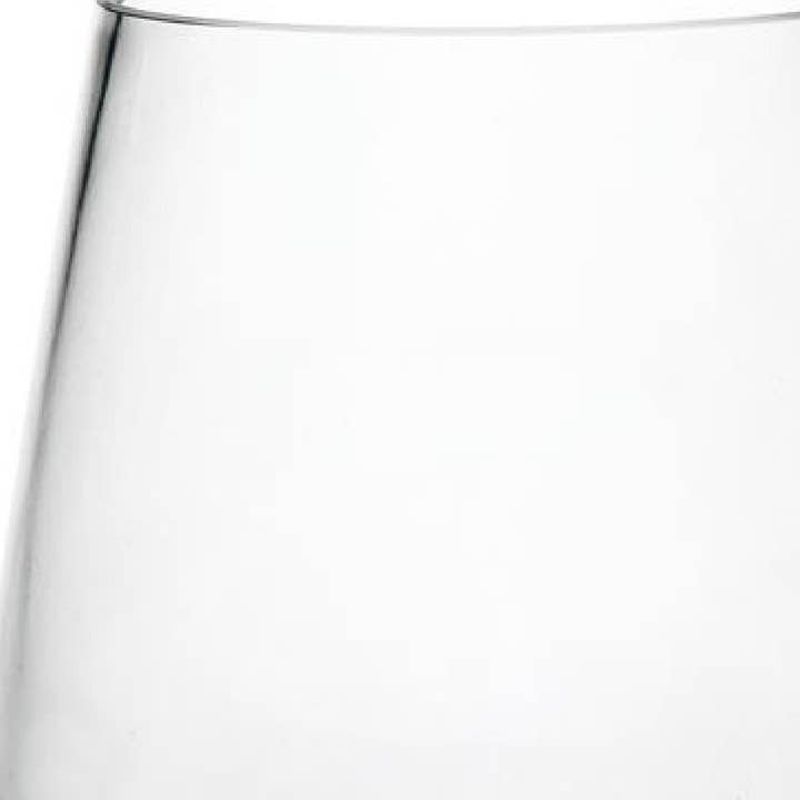 HomeRoots - Wholesale Wine Glass - Set of Four Clear Tritan Plastic Stemless Wine Glasses3