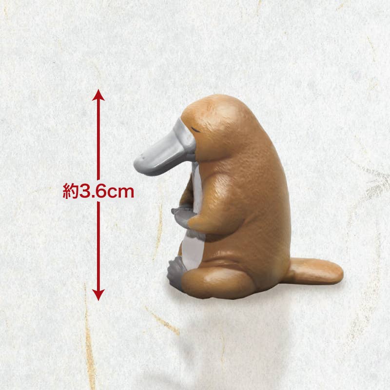 Hakubundo - Wholesale Decorative Figurine - 【JAPANESE BLIND BOX】ZAZEN VARIOUS ANIMALS SURPRISE BOX10