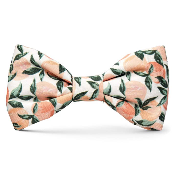 Peaches and Cream Dog Bow Tie for wholesale by The Foggy Dog
