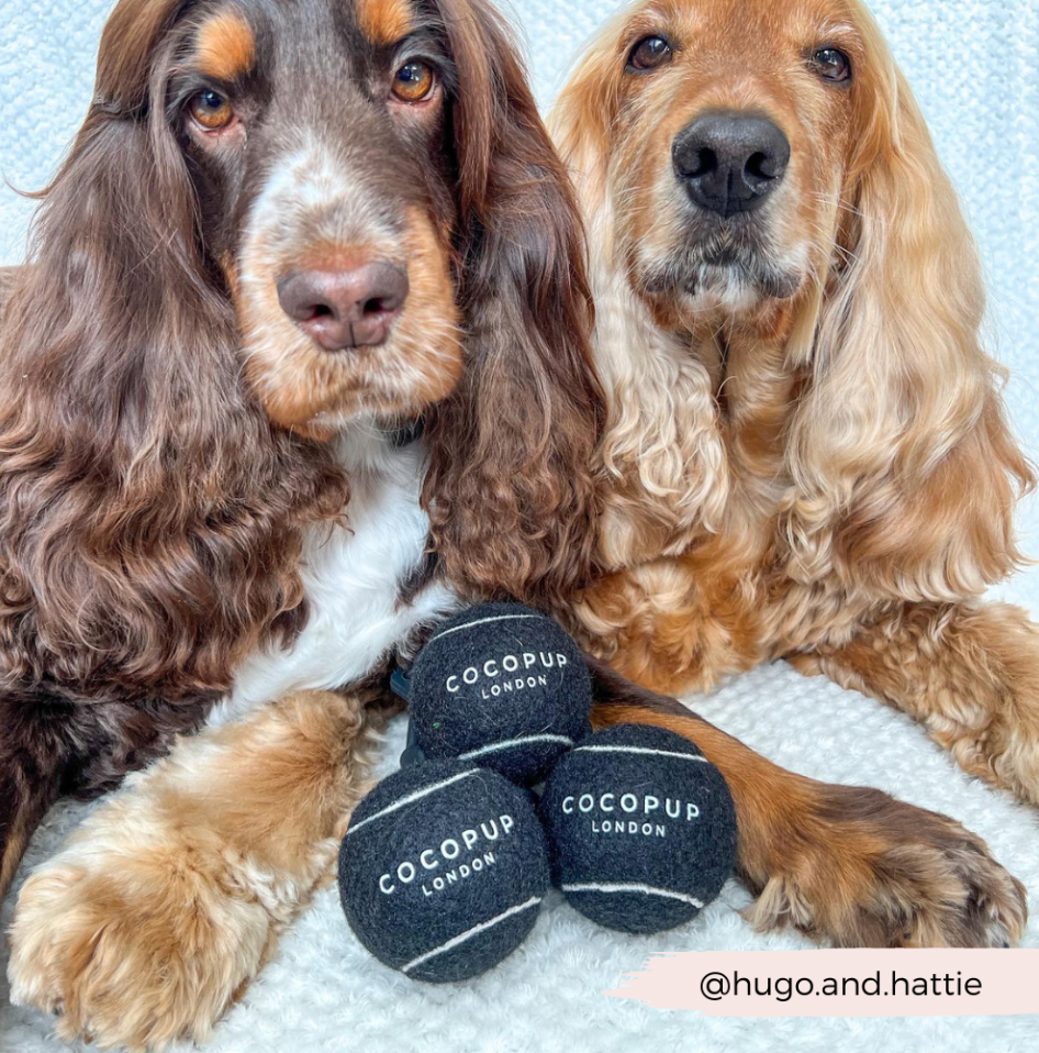 Cocopup London – Bola para cão - Cão por atacado – Pacote Bola de Ténis - Preto Meia-Noite1