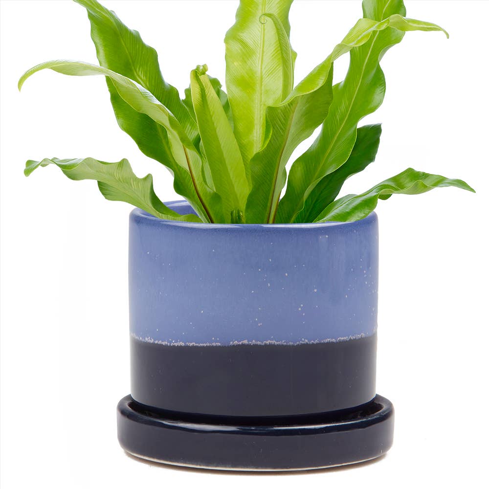 Chive - Wholesale Plant Pot - Minute Handmade Ceramic Planter Indoors Pot With Saucer4