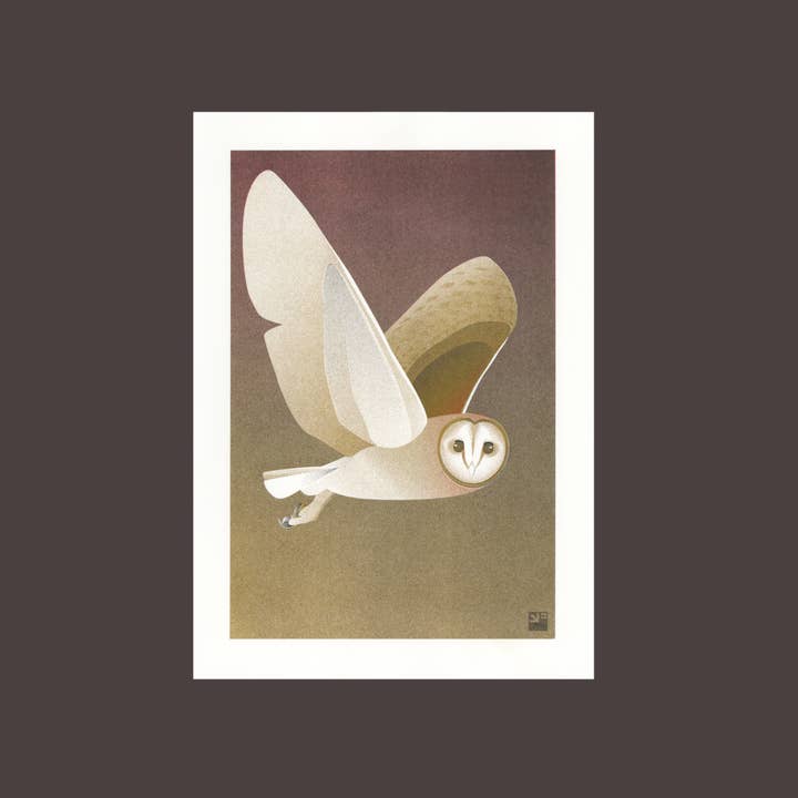 impressão riso - Coruja-das-torres - Impressão artística de pássaro - A4 por atacado de VrijFormaat