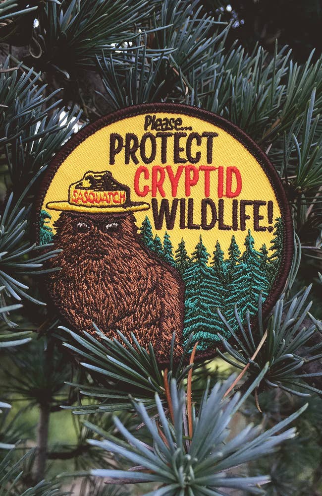 Maiden Voyage Co. - Wholesale Patch - Cryptid PSA Patch - Cryptozoology Tracking Society3