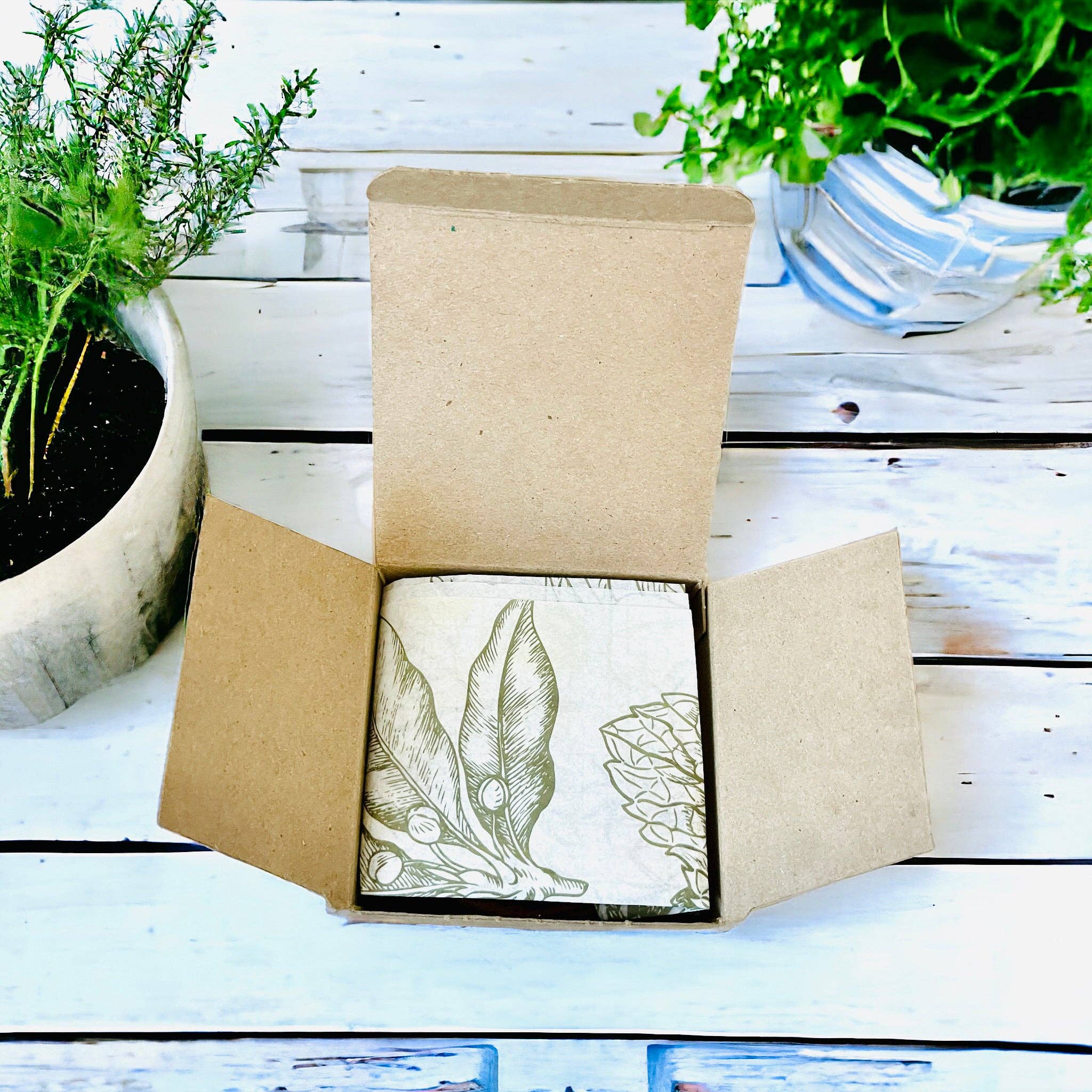 London James Candle Co - Venta al por mayor Semillas de plantas - Kit de jardinería para cultivo de hierbas DIY3