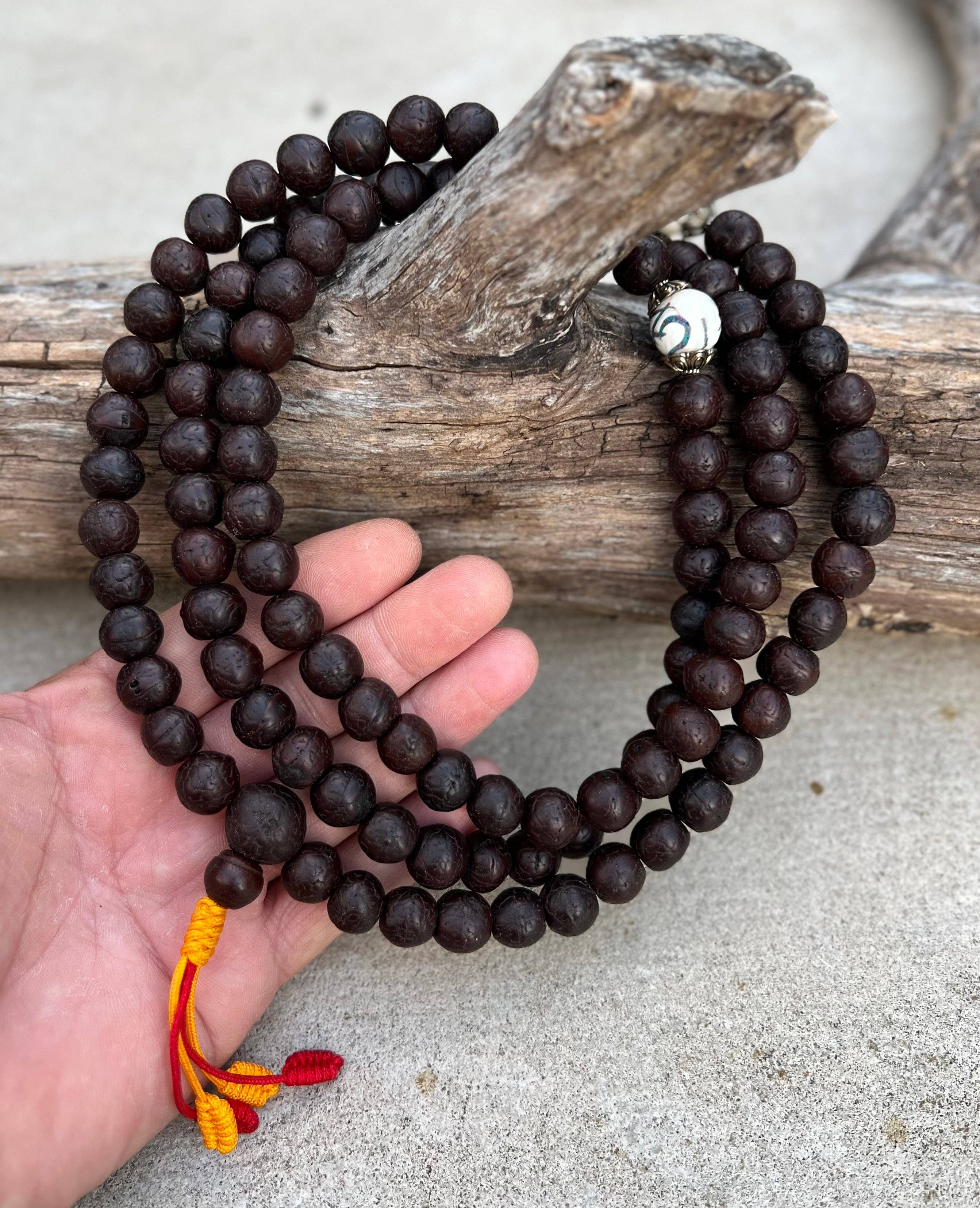 Lungta Imports - Vente Collier de prière en perles - Mala rare en graines de bodhi bouddhiste tibétain avec 3 perles d'accent en coquille de conque, boîte à mala gratuite1