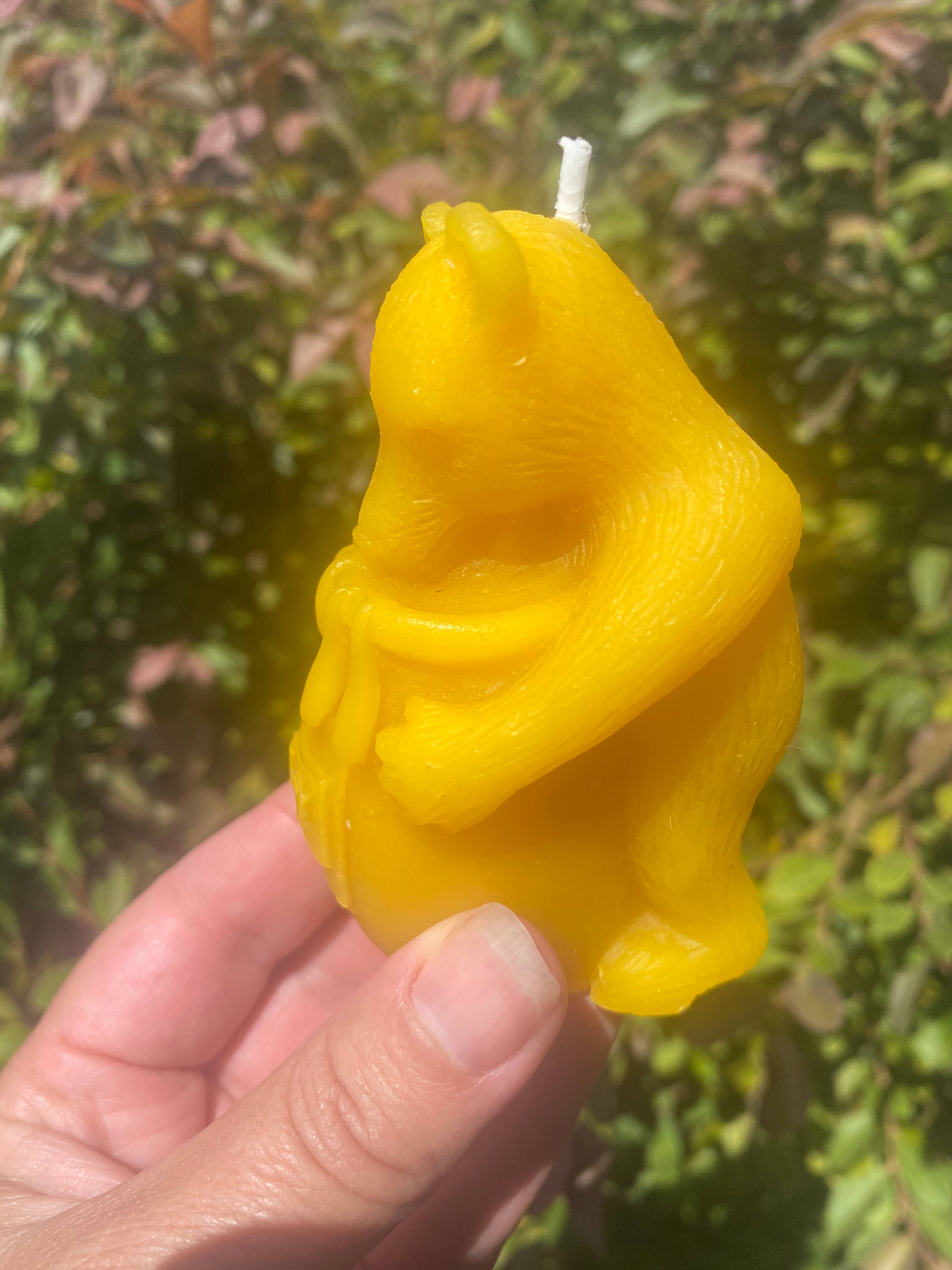 Thy Will Bee Done Apiary - Wholesale Novelty Candle - Beeswax Candle, Beeswax Bear and Honey Pot Candle, Pooh Bear1