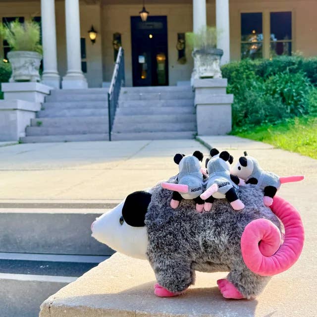 Sesame the Opossum - Wholesale Stuffed/Plush Toy - Kids & Baby - Snuggle Time Sesame (with Seedlings!)2