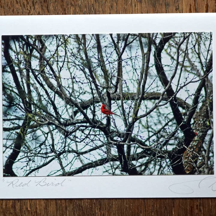 Ann Woodall Studios - Vendita all'ingrosso Biglietti di auguri generici - Biglietto di Auguri con Foto di Cardinale Rosso Fatto a Mano
