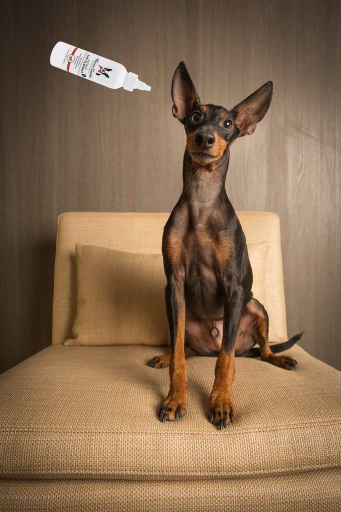 Warren London Dog Products - Wholesale Pet Grooming Aid - Dog - Instant Ear Cleaner - 3 Sizes6