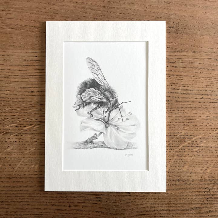 Kelly Barnes Portraits – wholesale Konsttryck – Humla monterat tryck | Blyertsteckning | Vilda djur och växter