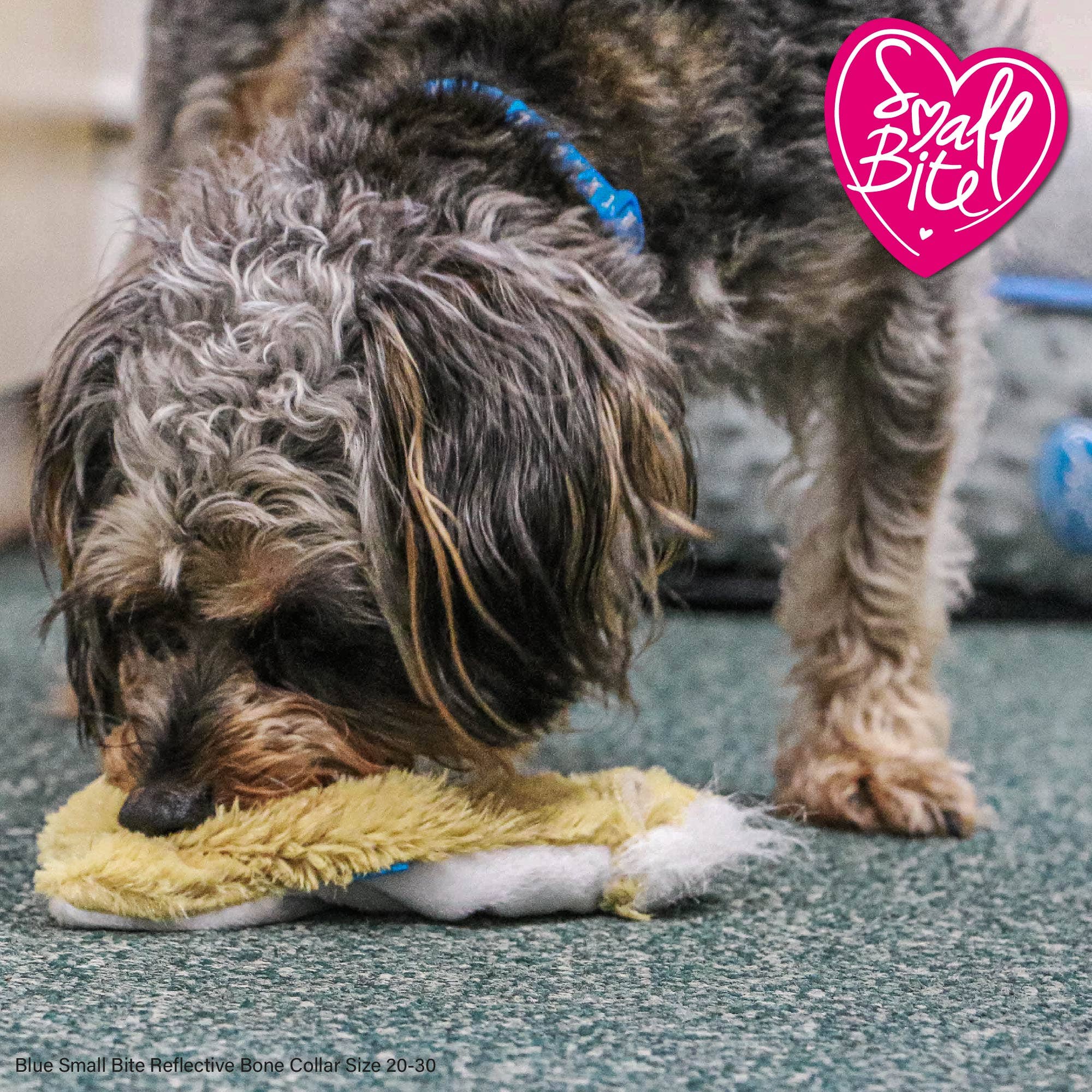 Ancol Pet Products Ltd – wholesale Pet plush toy – Dog – Small Bite Mini Floppet Fox1