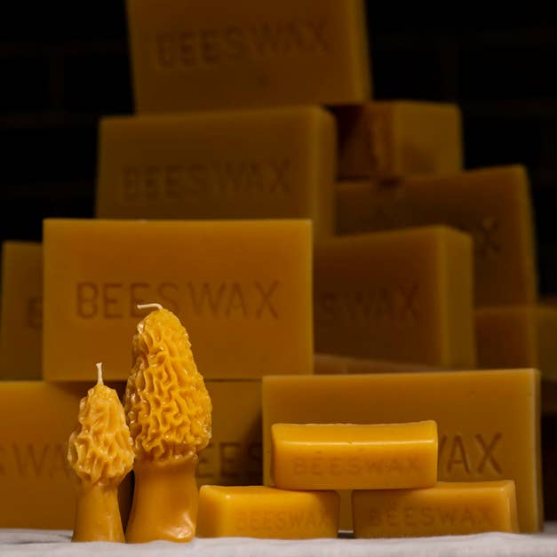 Waxing & Raining Handmade Goods - Wholesale Novelty Candle - Beeswax Morel Mushroom Candles | Beeswax Candle | Non-toxic