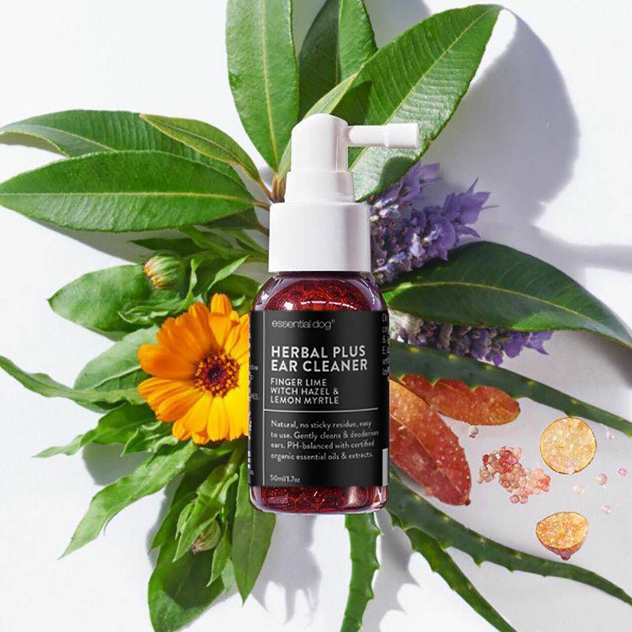 Essential Dog - Wholesale Pet Grooming Aid - Dog - Herbal Dog Ear Cleaner (Finger Lime & Lemon Myrtle)2