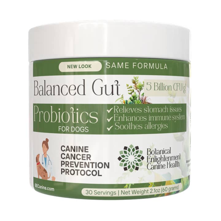 Balanced Gut Probiotics for wholesale by Botanical Enlightenment Canine Health