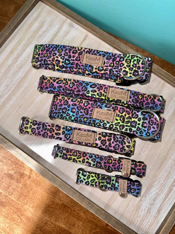 Colorful Bright Cheetah Print Dog Collar, Neons, Leopard for wholesale by K and M Collars
