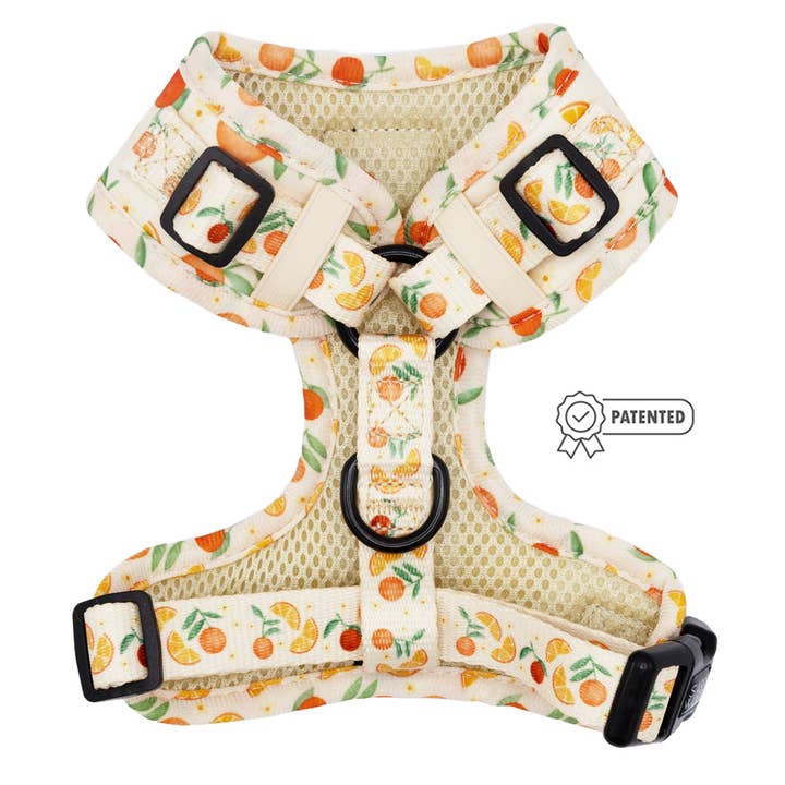 SASSY WOOF - Wholesale Pet Harness - Dog - Dog Adjustable Harness - Simply the Zest