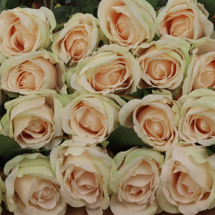 Larksilk - Wholesale Artificial Flowers - Champagne Rose Bud-20" Faux4