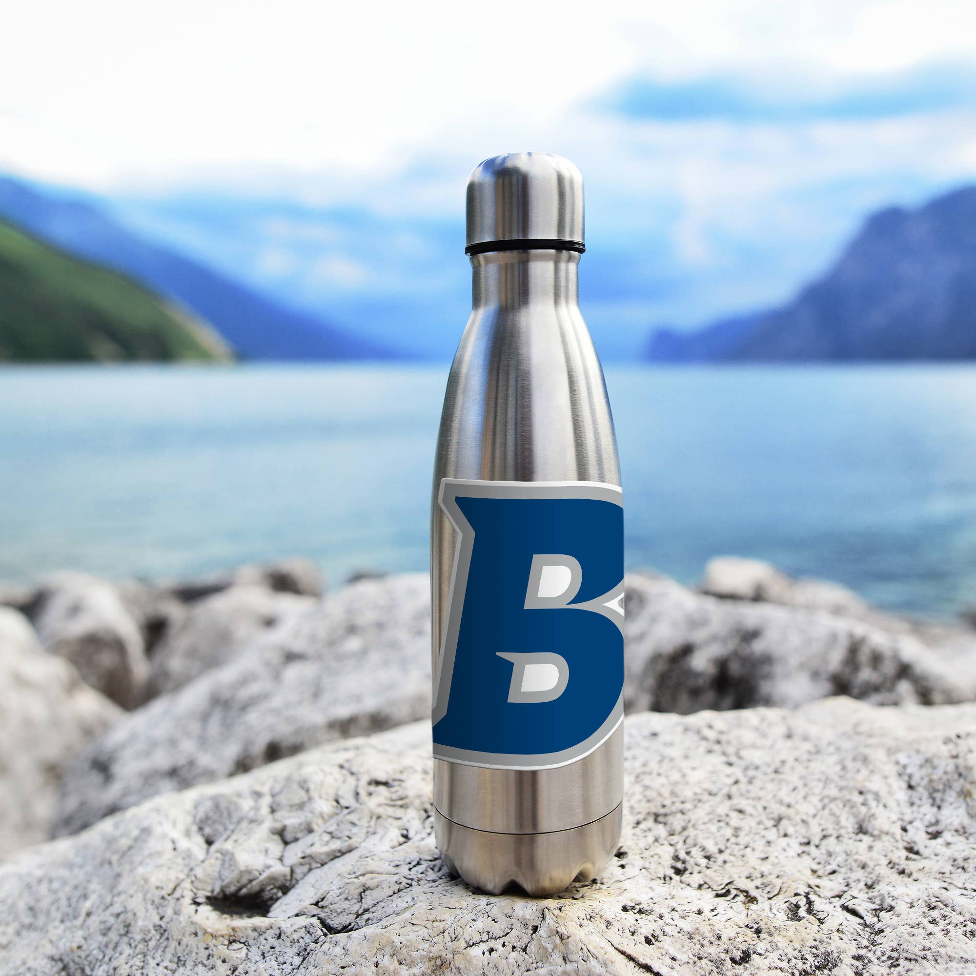 Rico Industries - Wholesale Car Decorative Charm - Unisex - NCAA  Brandeis Judges  Medium Die Cut Decal3