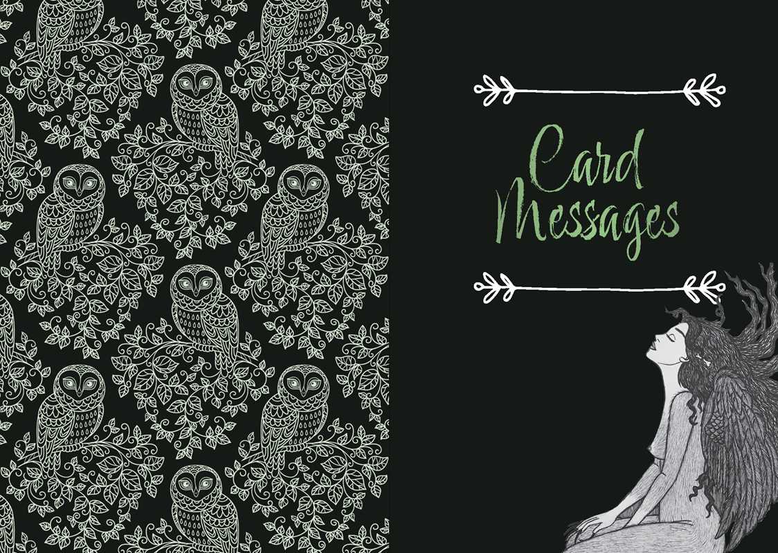 Simon & Schuster - Wholesale Tarot Cards - Wise Woman Oracle by Cheyenne Zárate6