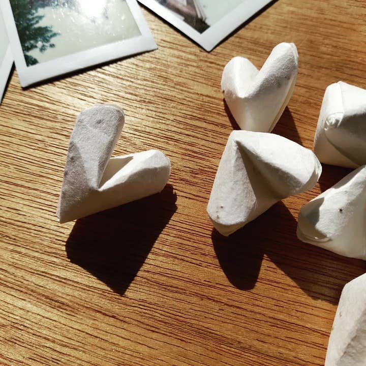 DSB Gifts – wholesale Party gift – Wildflower seed origami heart 'bee mine' envelope1