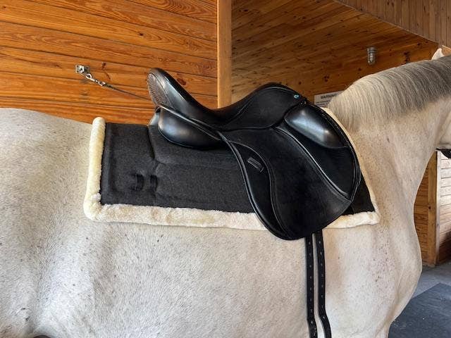 DziaSport - Wholesale Horseback Riding Gear - Happy-Back Saddle Pad3
