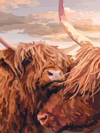 134C Hairy Coos//vacas de las tierras altas/para una pareja /lindo para venta al por mayor de Periodic Society