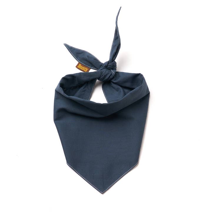 The Paws - Wholesale Pet Bandana - Dog - Photography - Studio Product Pictures5