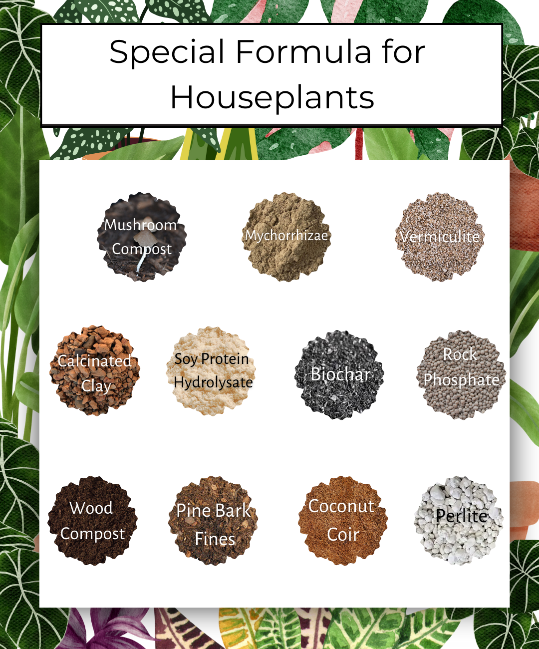 Happy Bunny Farms - Wholesale Planting/Potting Soil - Houseplant Premium Potting Soil, 4QT Bag3