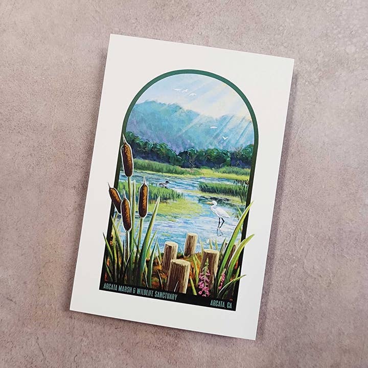 Carte postale du marais d'Arcata pour la vente par DeMartini Designs