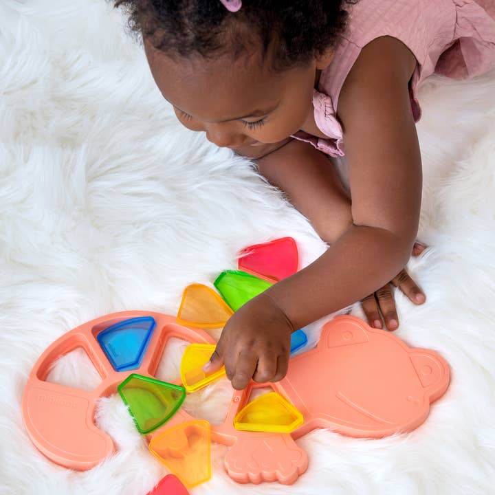 Miniland Educational - Wholesale Toy Set - Kids - Feel to Learn: Translucent colorful Lizard3