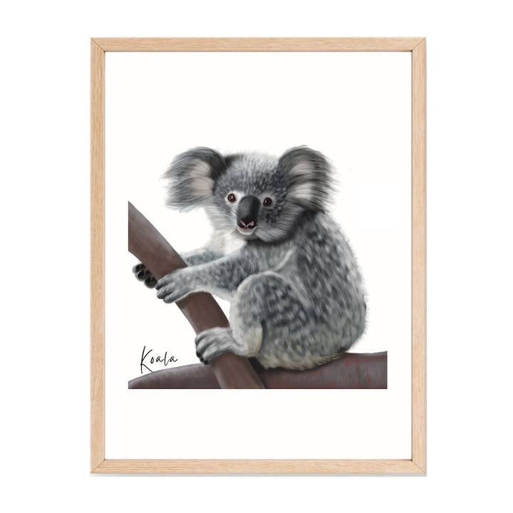Koala Poster: Native Australian Flora and Fauna Design for wholesale by Taylor Hill Scarves & Co