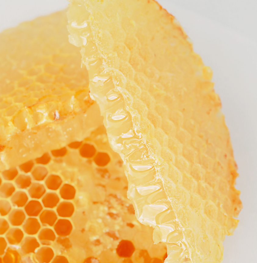 Rocky Mountain Honey Co. - Wholesale Honey - American Raw Honey Comb 8oz1