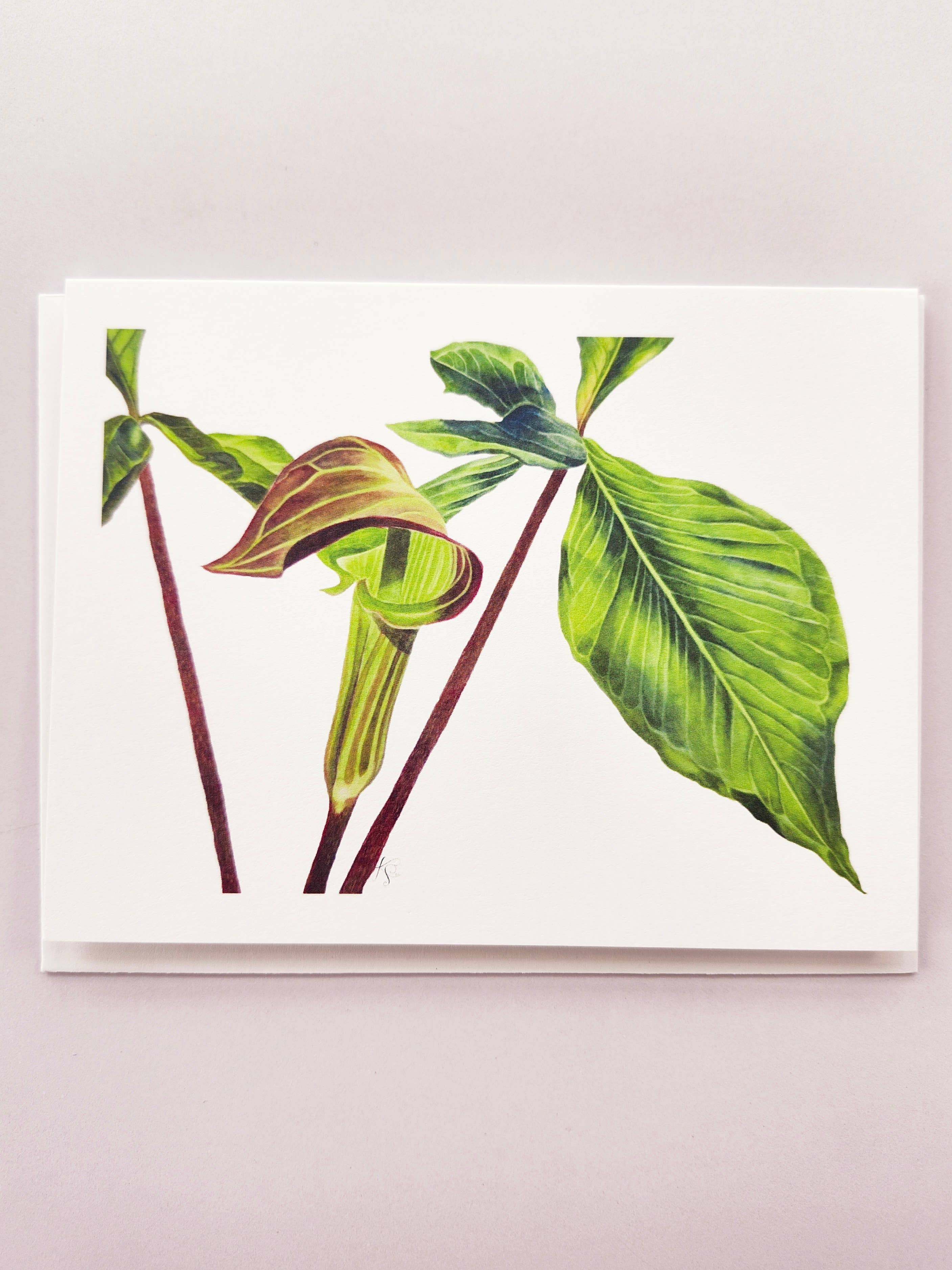 Redbriar Studio - Wholesale Stationery/Notecard Set - Notecards11