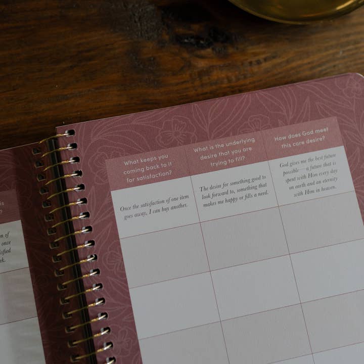 The Daily Grace Co - Wholesale Religion - Is God Enough for Me? | Finding Real Contentment in Christ4