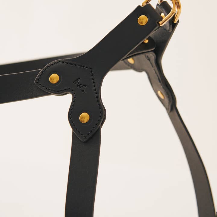 Muso & Co – Großhandel Haustiergeschirr – Hund – Klassisches Geschirr aus pflanzlich gegerbtem Leder39