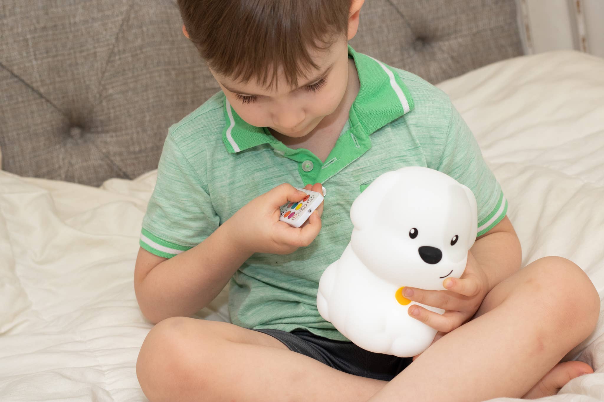 Lumieworld – Engroshandel Natlys - Børn og baby – Lumipets® LED natlampe til hund med fjernbetjening2