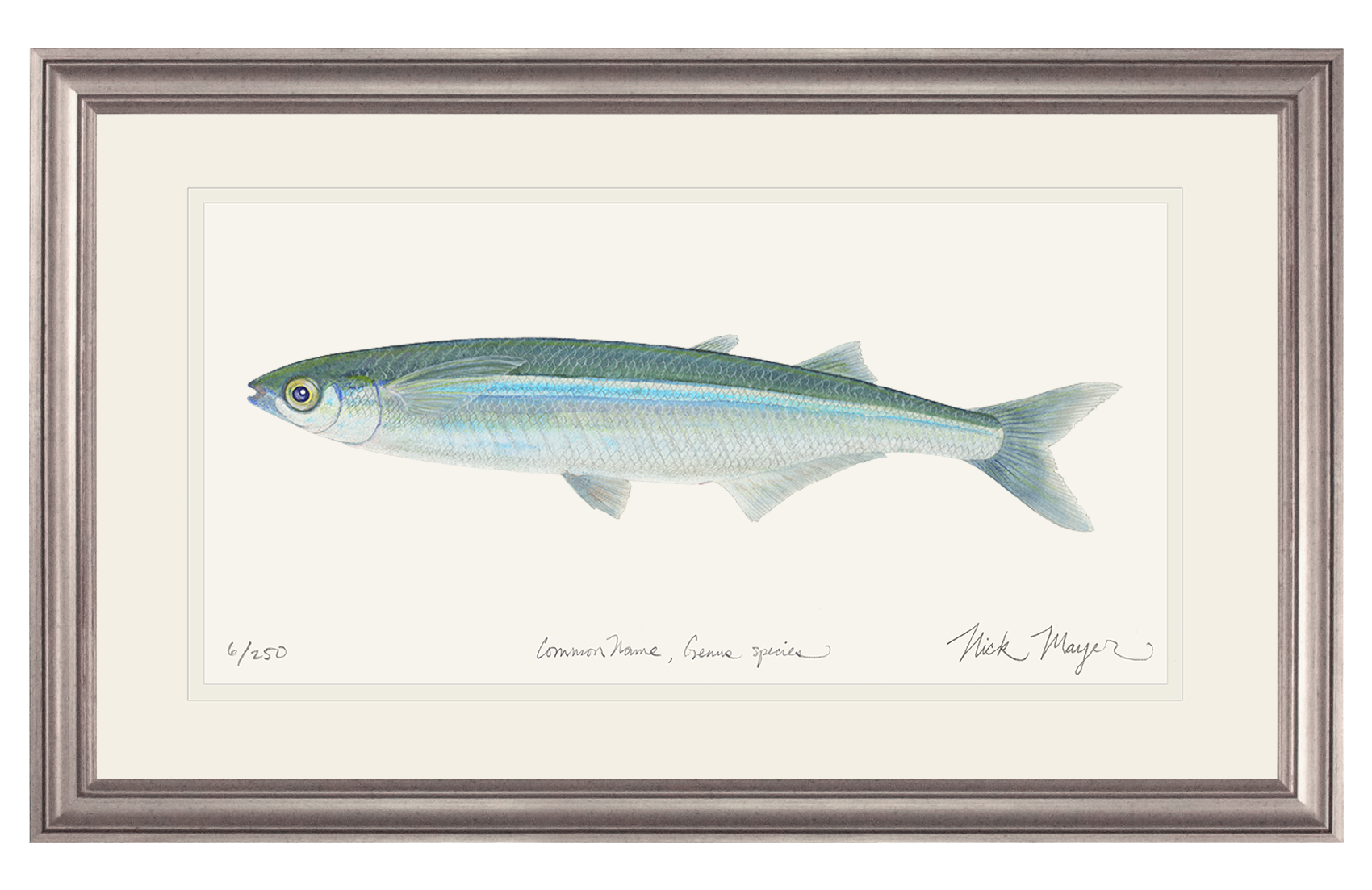 Nick Mayer Art - Wholesale Art Print - Smelt Limited Edition Print5