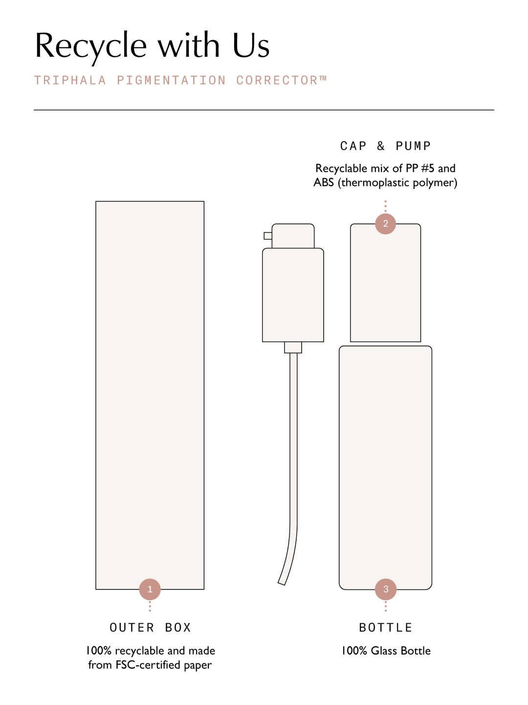 Sachi Skin – Engroshandel Ansigtsserum – Triphala Pigmenteringskorrektor - 30ml9