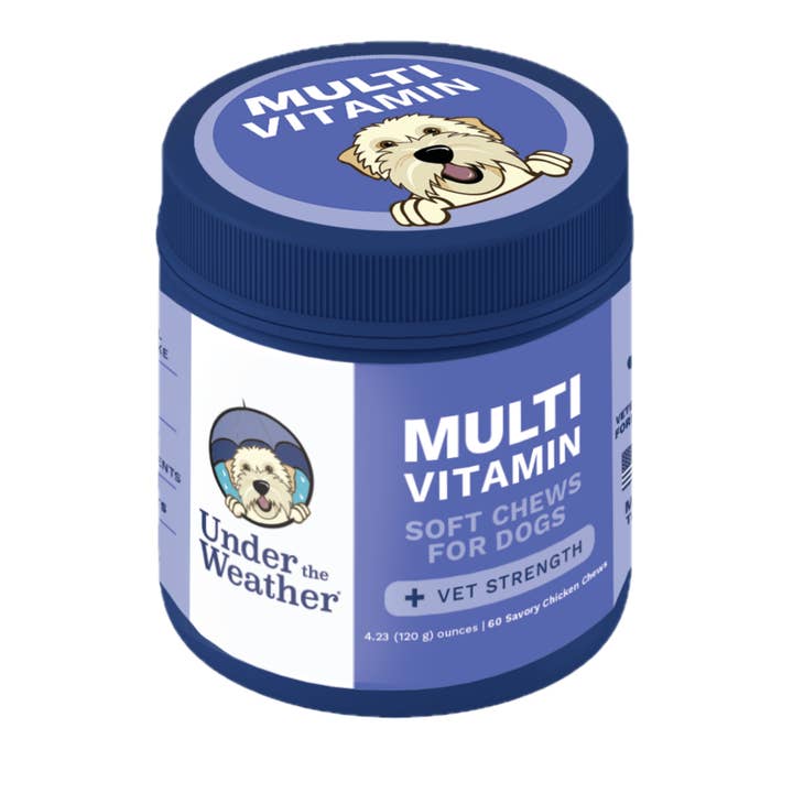 Multivitamin Daily Support Chews For Dogs for wholesale by Under the Weather Pet