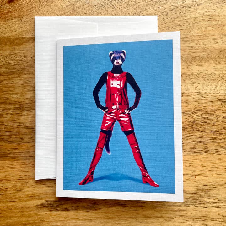 Colossal Sanders – wholesale Vardagliga hälsningskort – Lady Animals in Clothes 5-korts pack5