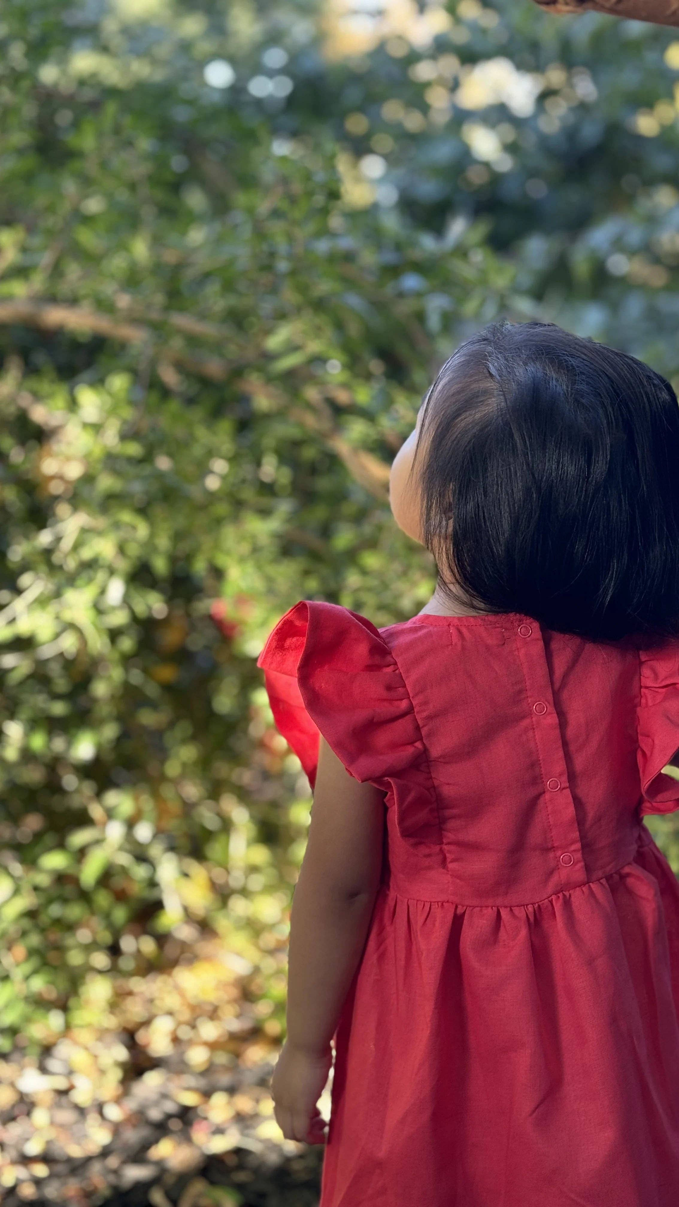 Coral Red The Holly Dress-Coral Red- Organic Linen sleeveless dress for wholesale on Faire4