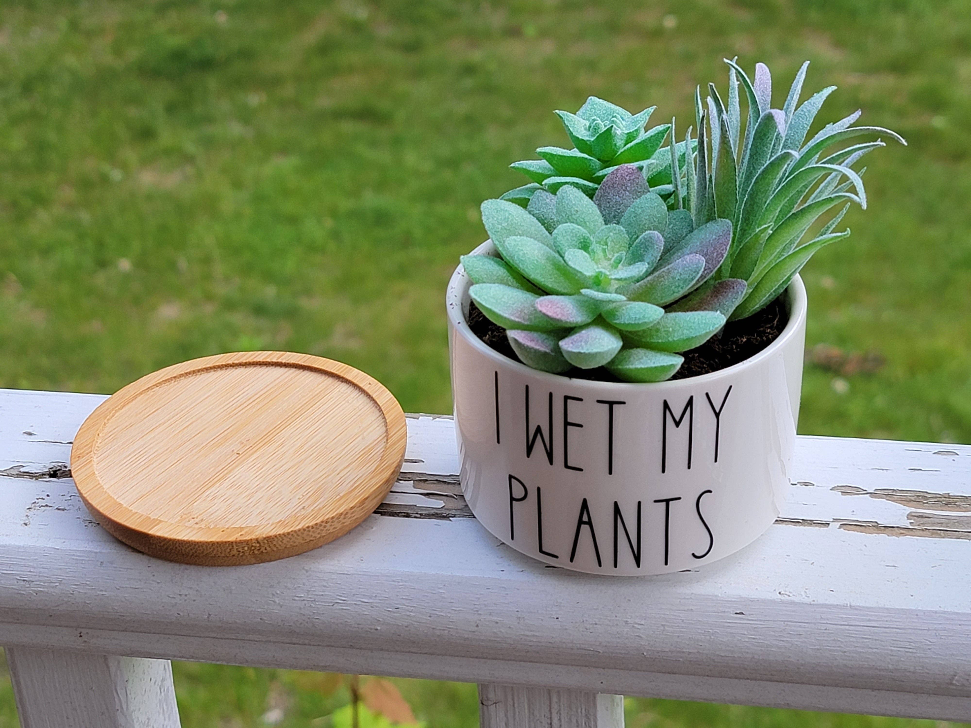 Vulpine Vinyls - Vente Pot - Lot de 2 pots à succulentes « I Soiled Myself » et « I Wet My Plants »5