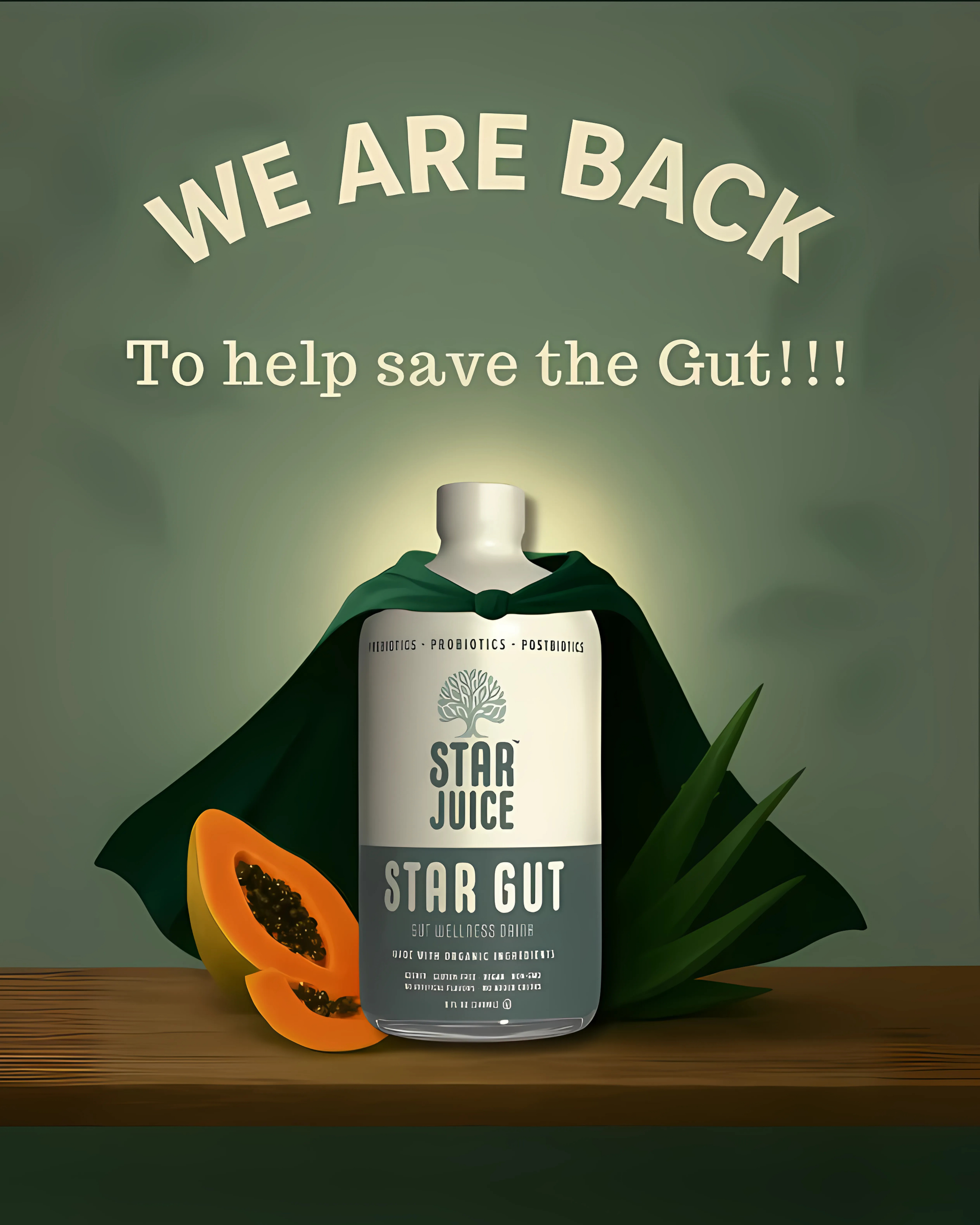 Star Juice - Wholesale Oral Supplement/Vitamin - Star Gut Natural Relief for Heartburn & Acid Reflux 7