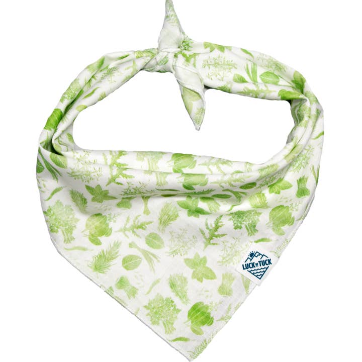 Bandana pour chien Eden pour la vente par LUCK OF TUCK